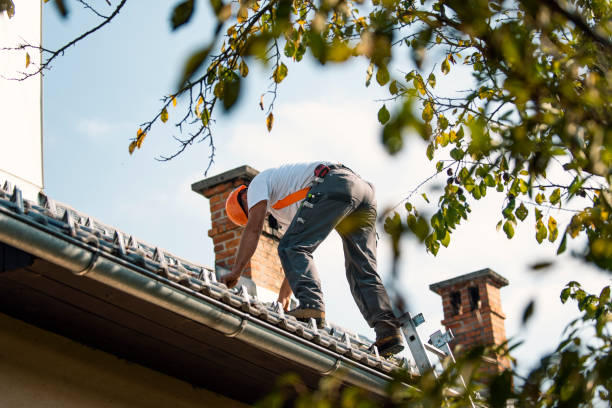 Best New Roof Installation  in Madison, WV