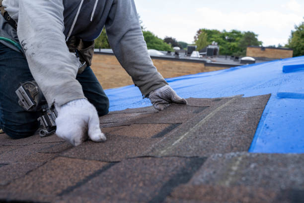 Best Affordable Roofing Company  in Madison, WV