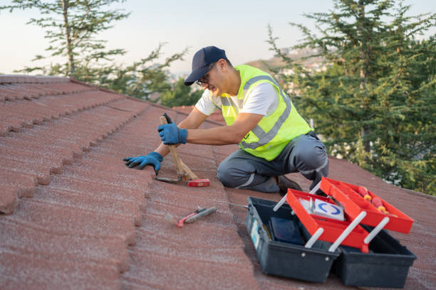 Best Roof Maintenance Services  in Madison, WV