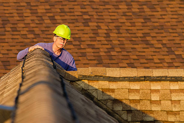 Best Roofing Contractor Near Me  in Madison, WV